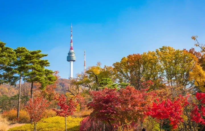 SEOUL – NAM – EVERLAND – PAINTER SHOW