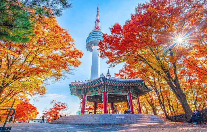 Busan vs Seoul: Nên chọn thành phố nào cho chuyến đi Hàn Quốc?